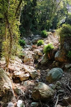 The path of the centaurs (after Cyclone Daniel) Portaria Pelion Greece Stock Photos