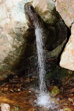 The path of the centaurs (after Cyclone Daniel) Portaria Pelion Greece 스톡 사진