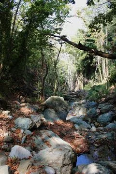 The path of the centaurs (after Cyclone Daniel) Portaria Pelion Greece Stock-Fotos