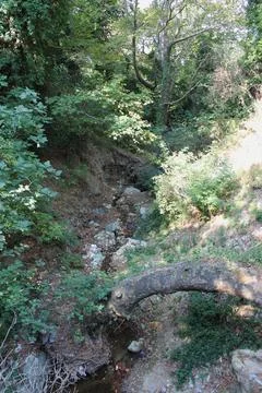 The path of the centaurs (after Cyclone Daniel) Portaria Pelion Greece Fotos Stock