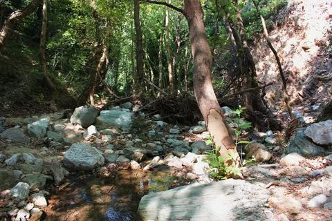 The path of the centaurs (after Cyclone Daniel) Portaria Pelion Greece Stock-Fotos