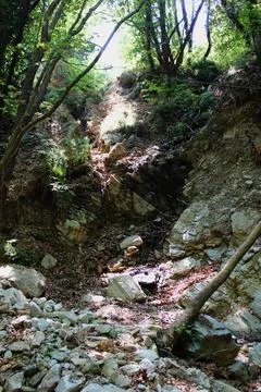 The path of the centaurs (after Cyclone Daniel) Portaria Pelion Greece Stock Photos