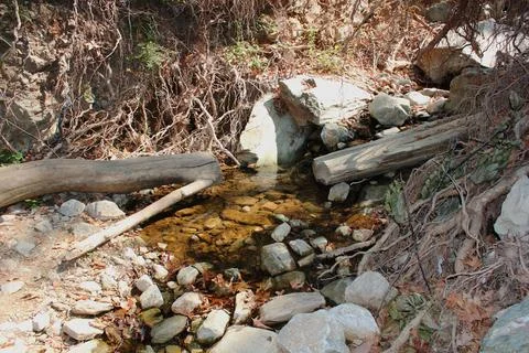 The path of the centaurs (after Cyclone Daniel) Portaria Pelion Greece Stock Photos