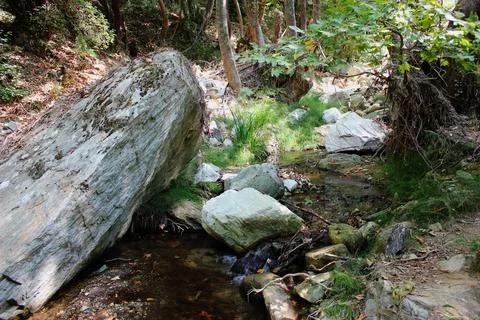 The path of the centaurs (after Cyclone Daniel) Portaria Pelion Greece Stock Photos