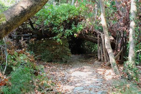 The path of the centaurs (after Cyclone Daniel) Portaria Pelion Greece Stock-Fotos
