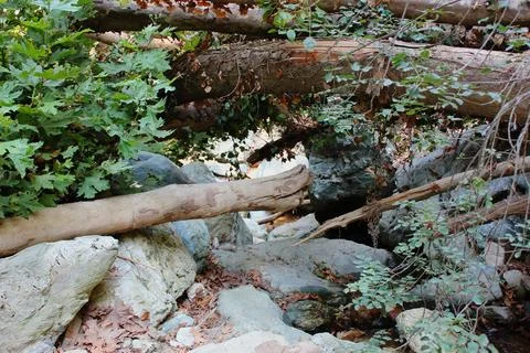 The path of the centaurs (after Cyclone Daniel) Portaria Pelion Greece 写真素材