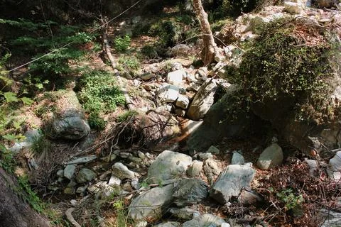 The path of the centaurs (after Cyclone Daniel) Portaria Pelion Greece Stock Photos