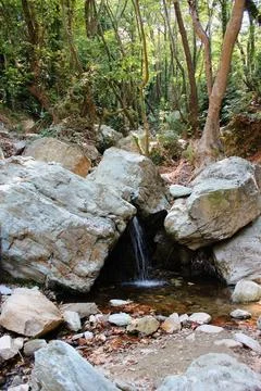 The path of the centaurs (after Cyclone Daniel) Portaria Pelion Greece Stock Photos