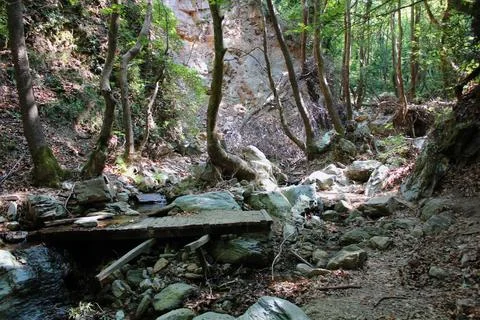 The path of the centaurs (after Cyclone Daniel) Portaria Pelion Greece Stock-Fotos