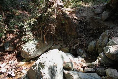 The path of the centaurs (after Cyclone Daniel) Portaria Pelion Greece Stock Photos
