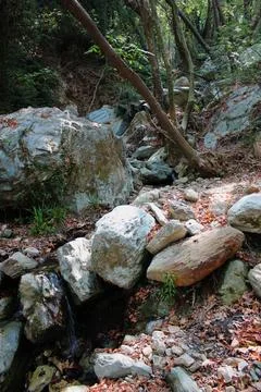 The path of the centaurs (after Cyclone Daniel) Portaria Pelion Greece Stock Photos