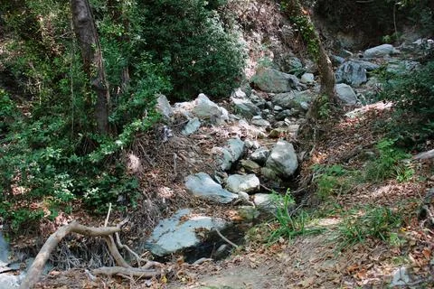 The path of the centaurs (after Cyclone Daniel) Portaria Pelion Greece Stock-Fotos