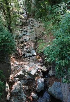 The path of the centaurs (after Cyclone Daniel) Portaria Pelion Greece Stock Photos
