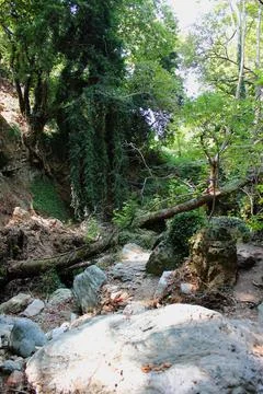 The path of the centaurs (after Cyclone Daniel) Portaria Pelion Greece Stock-Fotos
