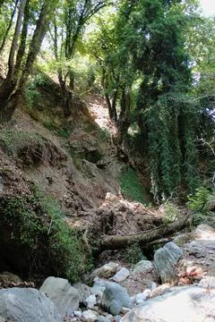 The path of the centaurs (after Cyclone Daniel) Portaria Pelion Greece Stock-Fotos