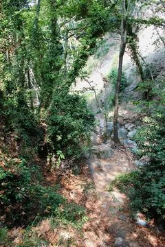 The path of the centaurs (after Cyclone Daniel) Portaria Pelion Greece Stock Photos
