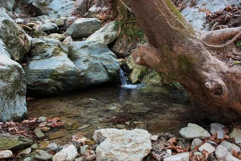 The path of the centaurs (after Cyclone Daniel) Portaria Pelion Greece Stock-Fotos