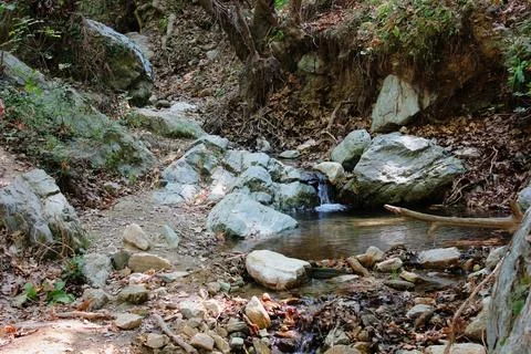 The path of the centaurs (after Cyclone Daniel) Portaria Pelion Greece 스톡 사진
