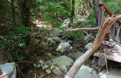 The path of the centaurs (after Cyclone Daniel) Portaria Pelion Greece Foto stock