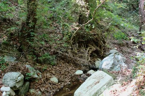 The path of the centaurs (after Cyclone Daniel) Portaria Pelion Greece Foto stock