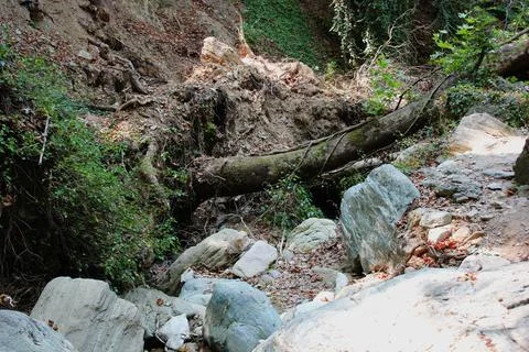 The path of the centaurs (after Cyclone Daniel) Portaria Pelion Greece Stock Photos