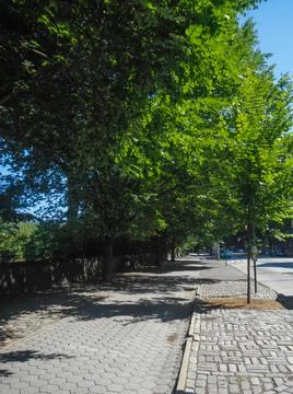 The path to Central Park Stock Photos