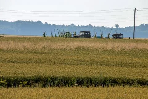Path to the cereal field Stock Photos