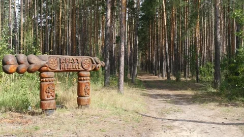 A path in the Chuvash forest, Russia. Stock Footage 146932205