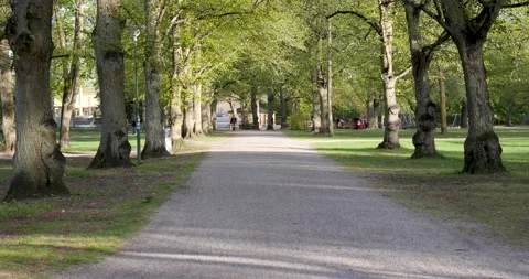 Path in city park Video stock 130288318