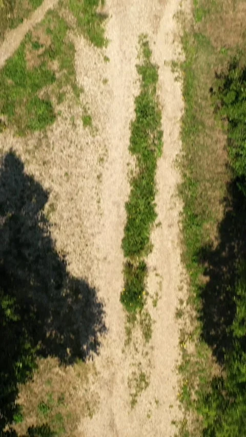 A path in a city park. Stock Footage 287855421