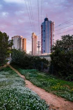 The Path to the City Stock Photos