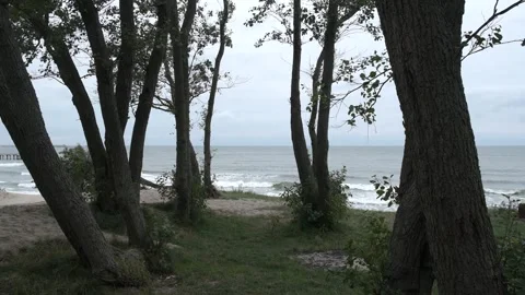 Path to cliff on seashore. Baltic Sea. Video stock 244061871