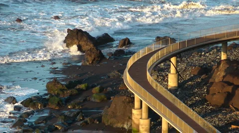 Path at the coast Madeira Stock Footage 1100665