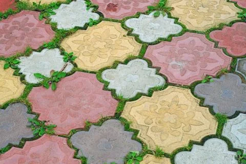 Path of colored tiles from the growing grass in the gaps as background Foto stock