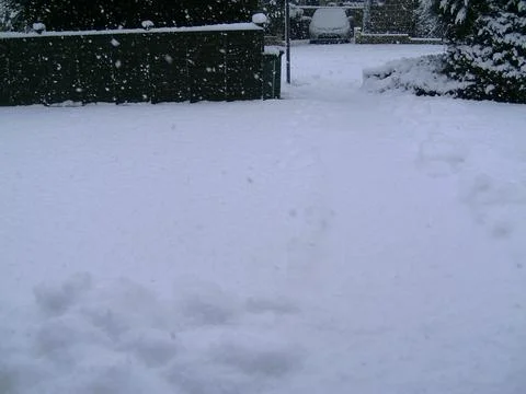 A path completely covered in a thick layer of fresh snow during active snowfall Stock Photos