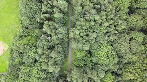 Path Convergence Stock Footage 207776133