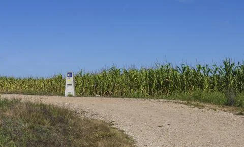 Path in the corn fields where the pilgrims walk in the Camino de Santiago. Stock Photos