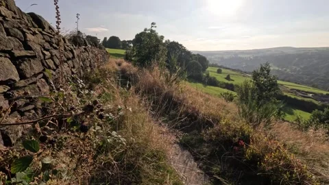 Path in the countryside Stock Footage 283399742