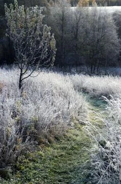 Path in the countryside in the late fall Stock Photos