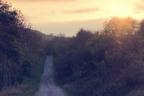 Path in the countryside Stock Photos