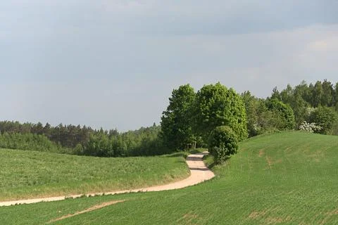 A path in the countryside Stock Photos