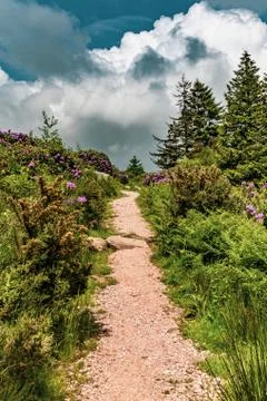 A path in the countryside Stock Photos