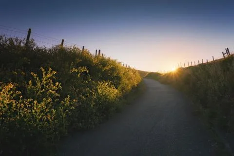 Path in the countryside at sunset Stock Photos