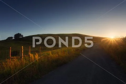 Path in the countryside at sunset Stock Photos