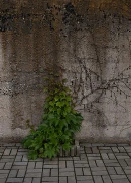 A path in the courtyard lined with paving tiles with a flowerbed and a bush c Stock Photos