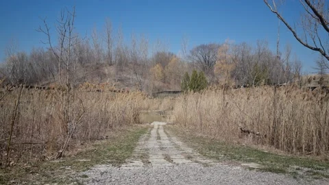 Path covered by dry grass 库存影片 238405349