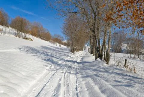 Path covered with snow in alpine mountain Foto stock