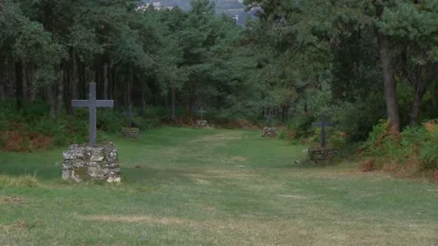 PATH WITH CROSSES BETWEEN TREES Stock Footage 96284611