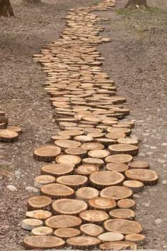 Path from the cuts of tree trunks Stock Photos