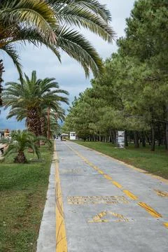 Path for cyclists and pedestrians lined with palm and pine trees Stock Photos